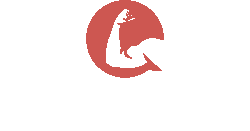 Insiderwissen zu Bodybuilding und Fitness Supplements | Supplement Insider